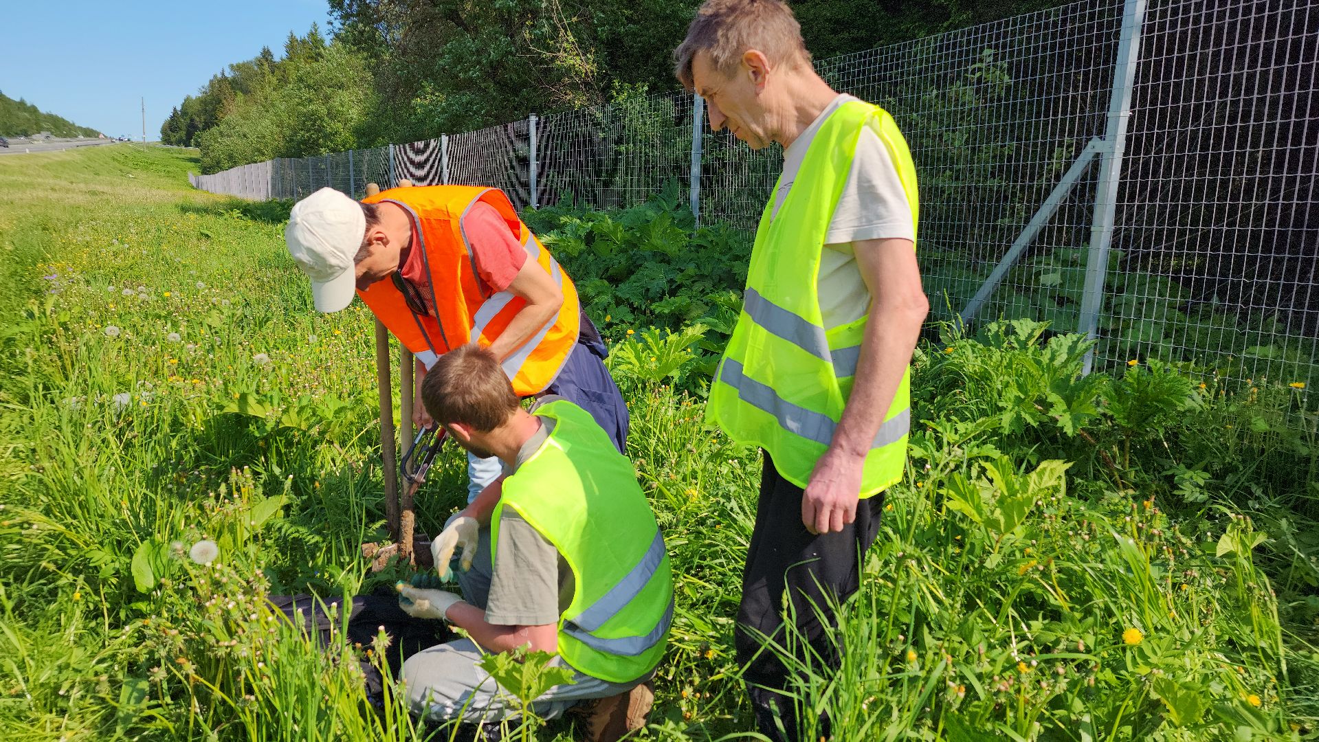 волоколамск, м9 балтия, ограждение от животных ,