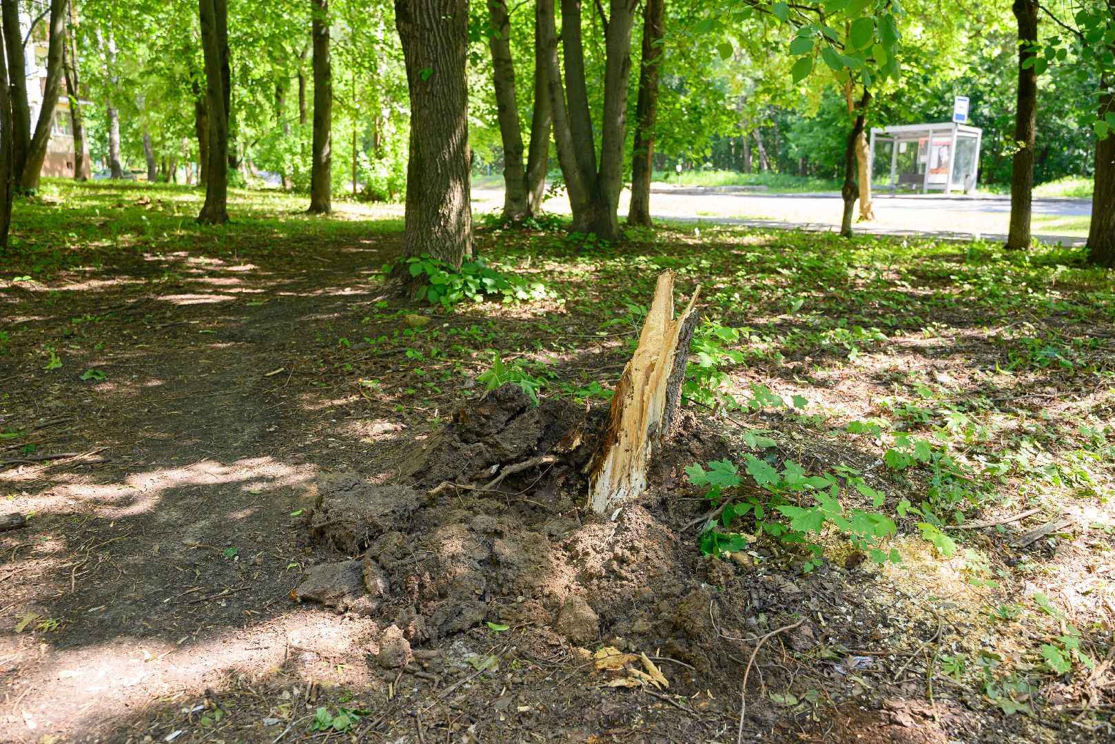 лыткарино, общество, выездная администиация,