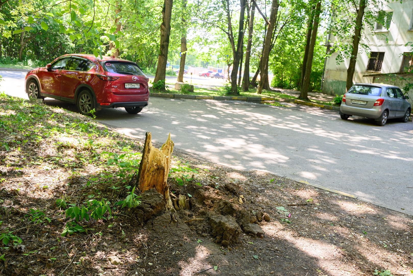 лыткарино, общество, выездная администиация,