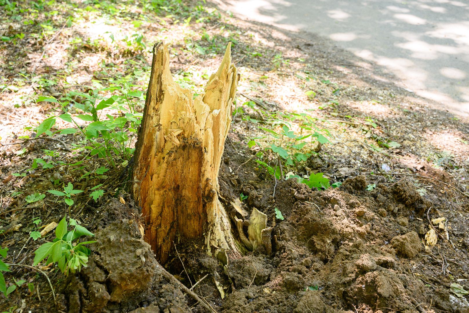 лыткарино, общество, выездная администиация,