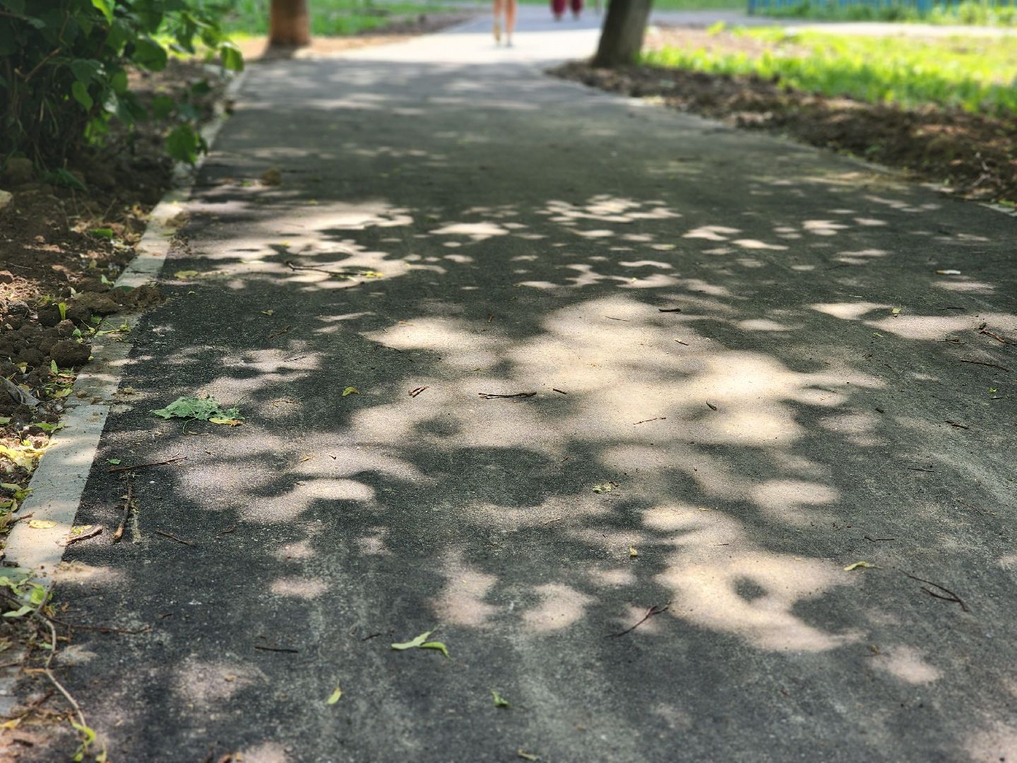 королёв, благоустройство, народные тропы,