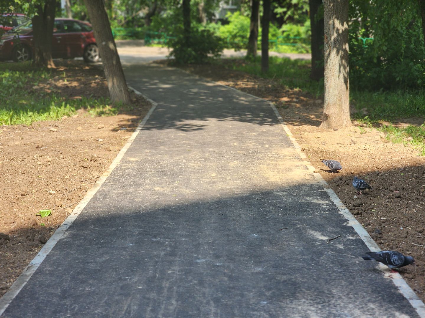 королёв, благоустройство, народные тропы,