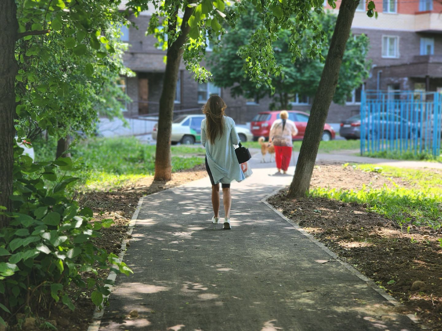 королёв, благоустройство, народные тропы,