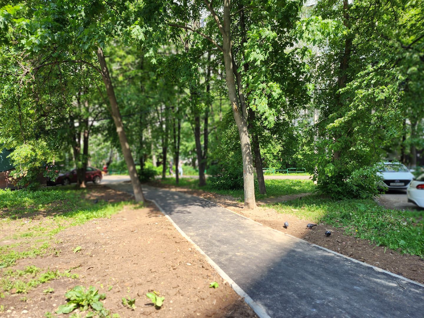 королёв, благоустройство, народные тропы,