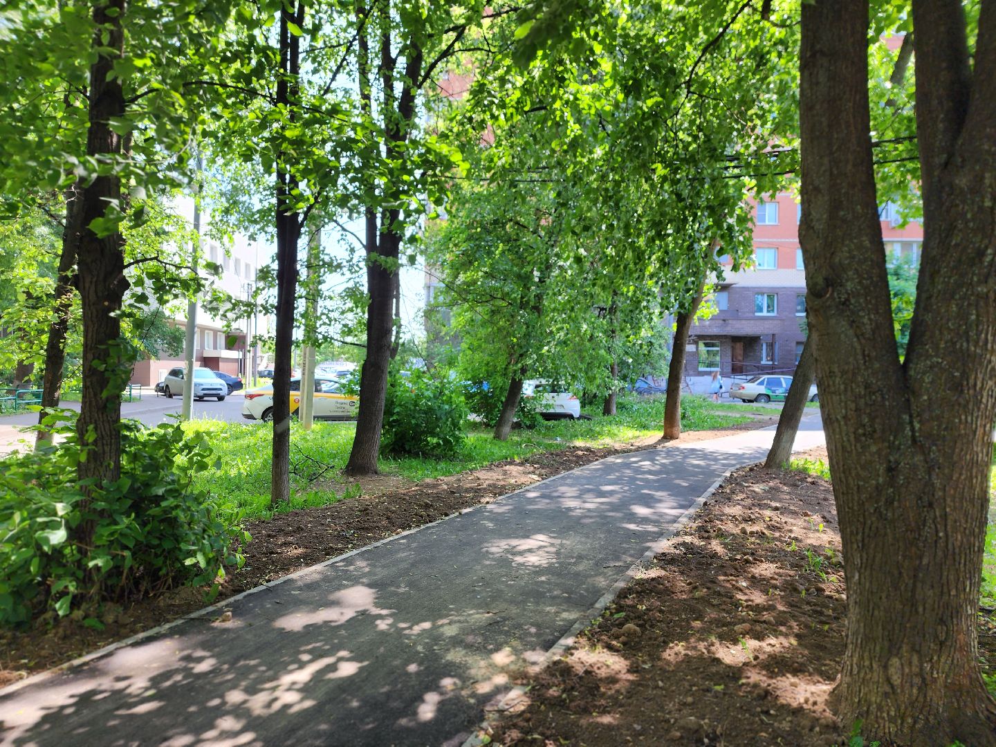 королёв, благоустройство, народные тропы,