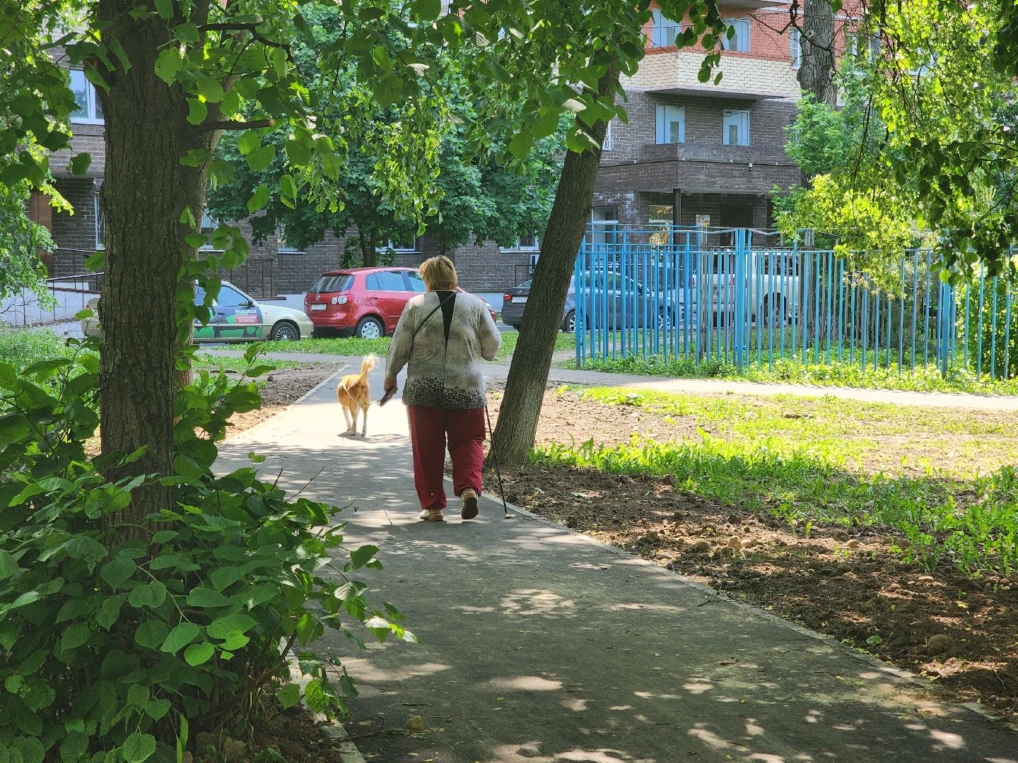 королёв, благоустройство, народные тропы,