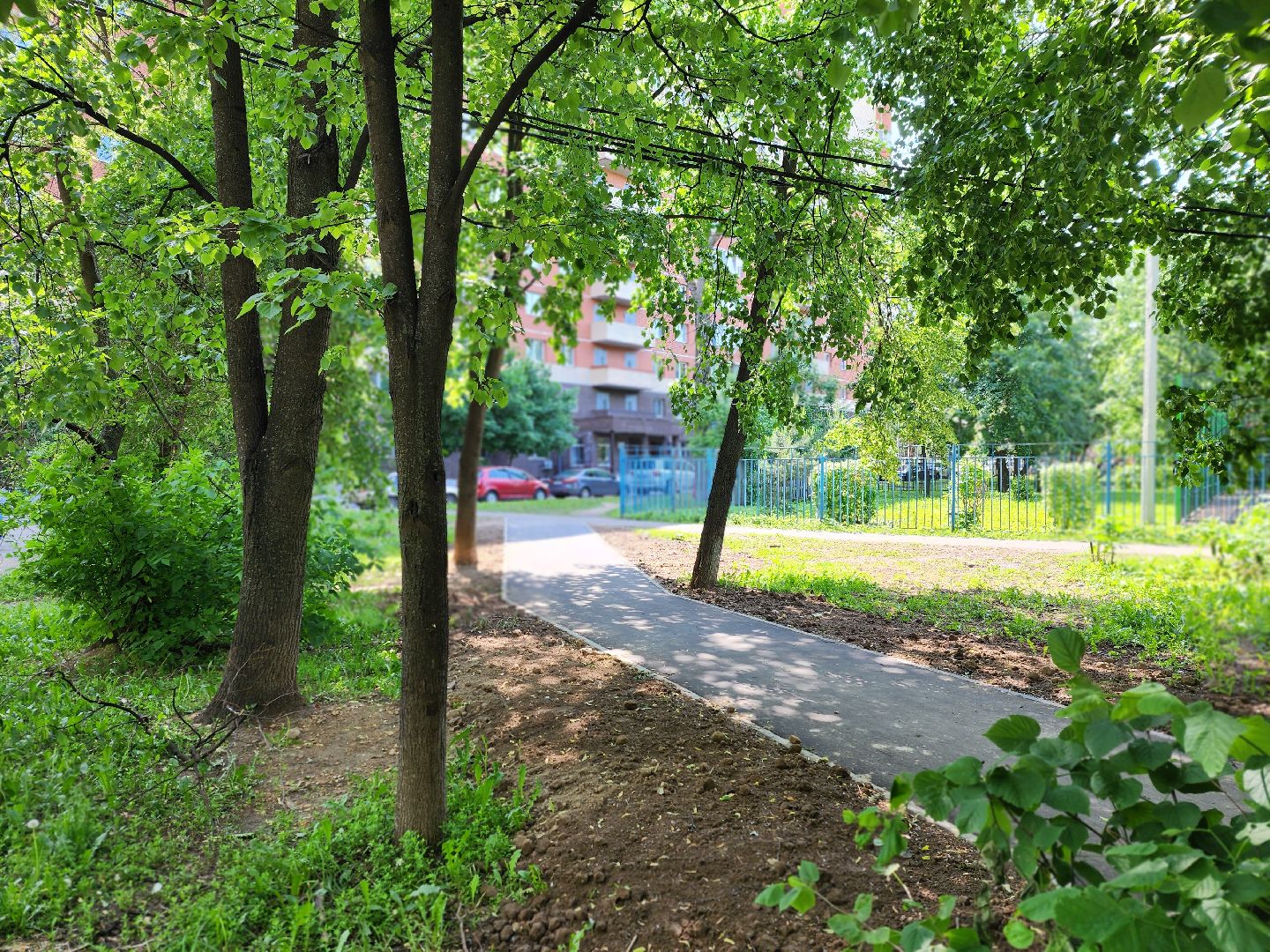 королёв, благоустройство, народные тропы,