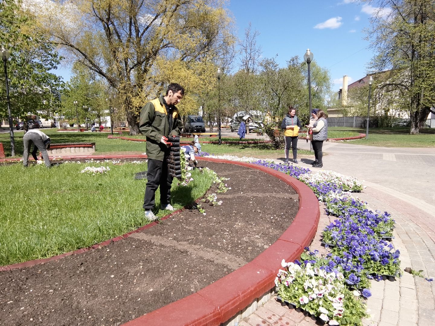 Балашиха, благоустройство, Благоустройство Балашиха, фиалки, однолетние растения, многолетние растения, озеленение, цветы, газоны, клумбы, вазоны, кашпо