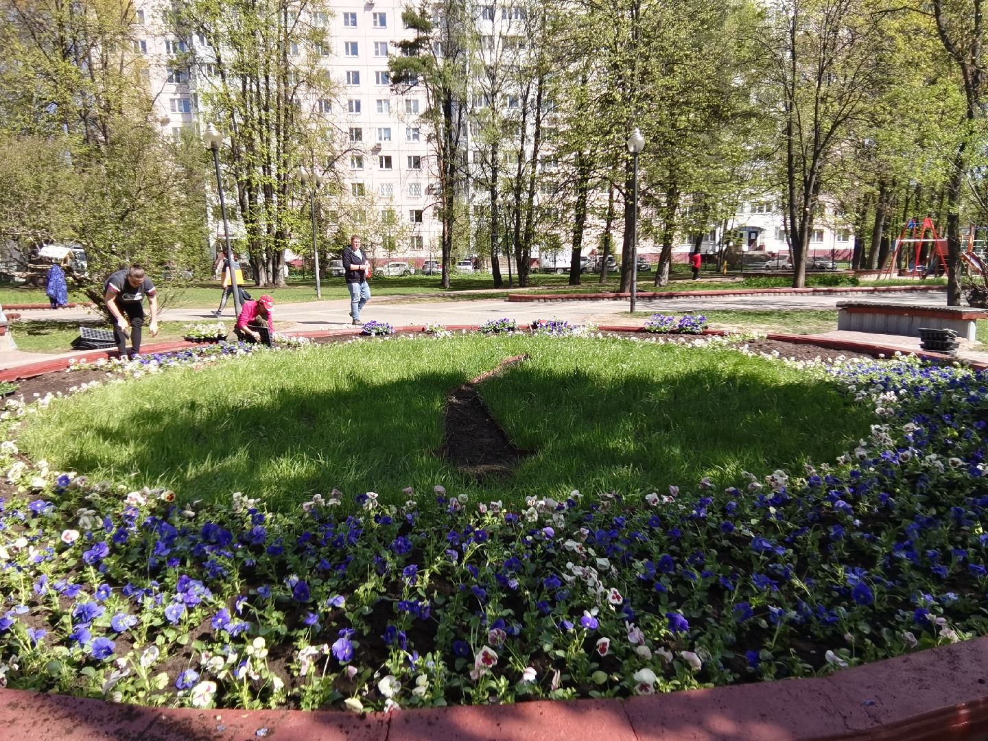 Балашиха, благоустройство, Благоустройство Балашиха, фиалки, однолетние растения, многолетние растения, озеленение, цветы, газоны, клумбы, вазоны, кашпо
