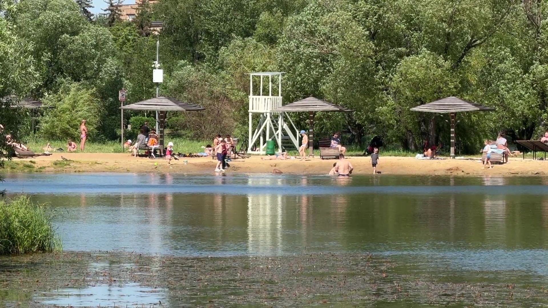 реутов, парк, фабричный пруд, купальный сезон,