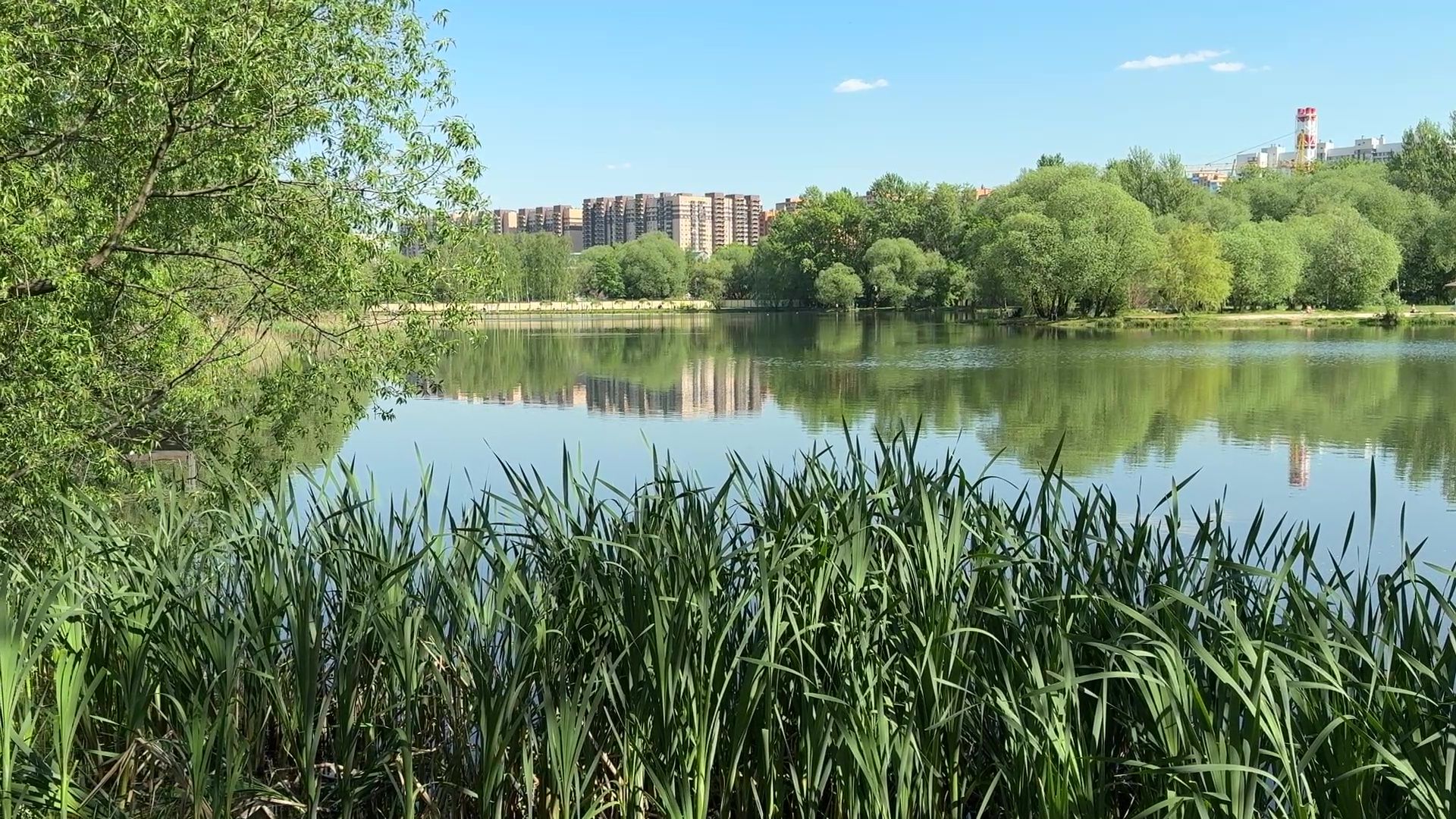 реутов, парк, фабричный пруд, купальный сезон,