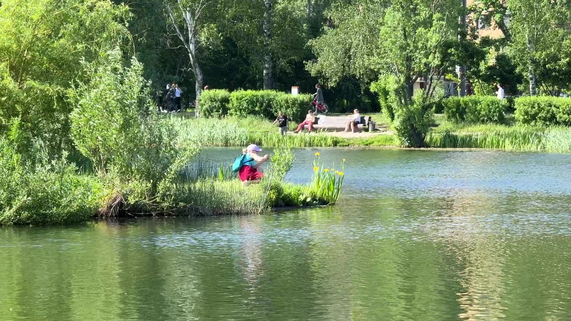 реутов, парк, фабричный пруд, купальный сезон,