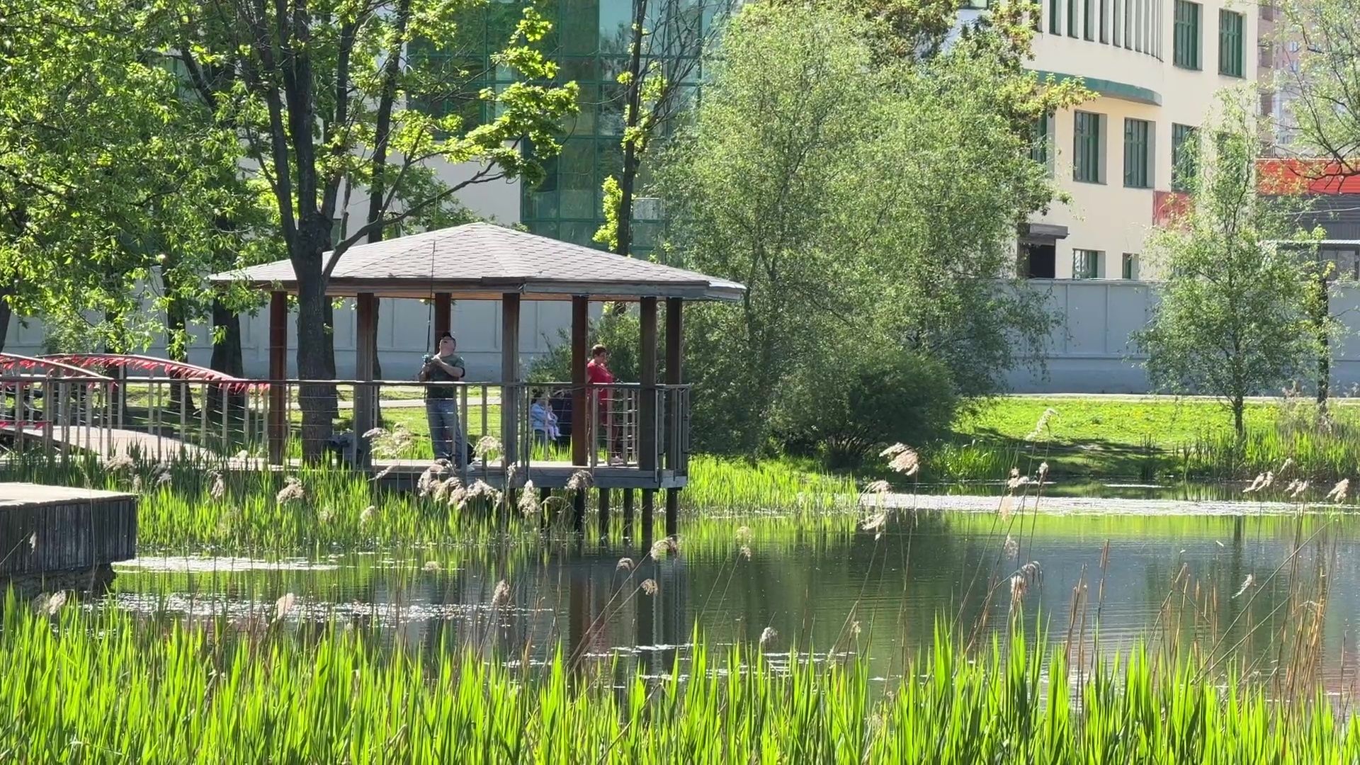 реутов, парк, фабричный пруд, купальный сезон,