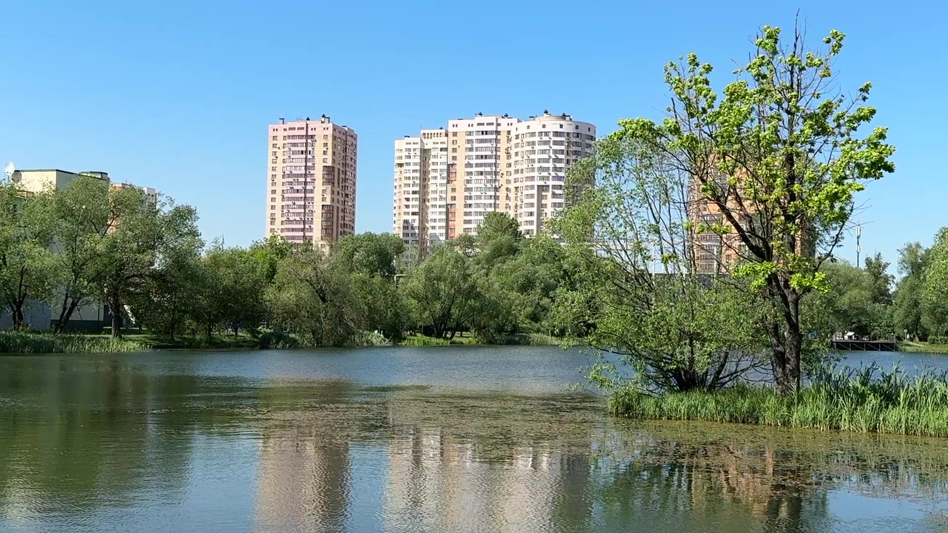 реутов, парк, фабричный пруд, купальный сезон,