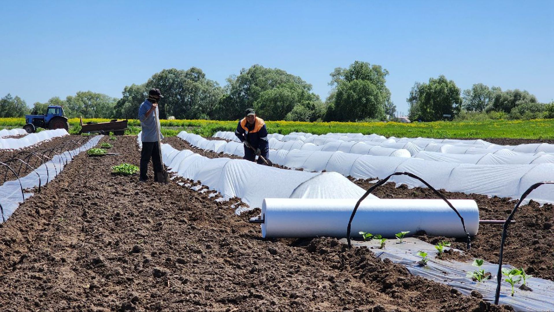 Агрогрант #Господдержка #РазвитиеСельскогоХозяйства , Луховицы,