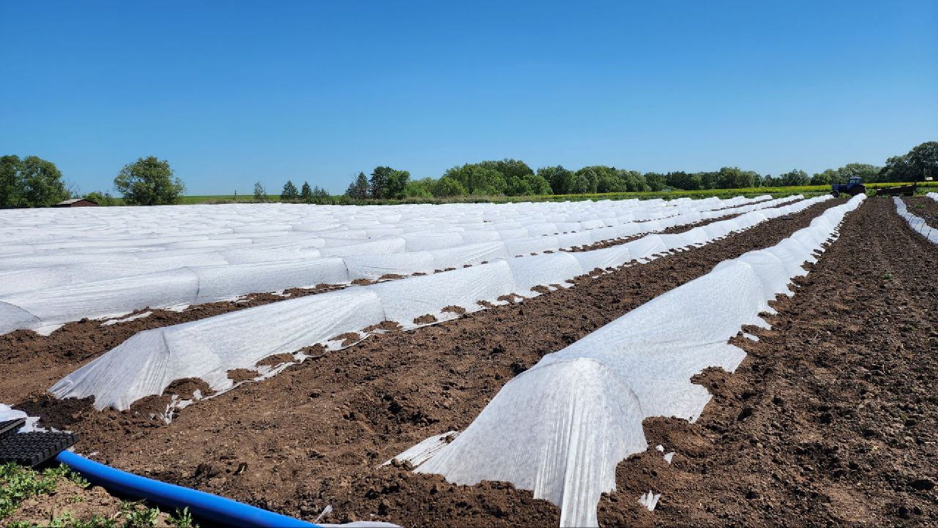 Агрогрант #Господдержка #РазвитиеСельскогоХозяйства , Луховицы,