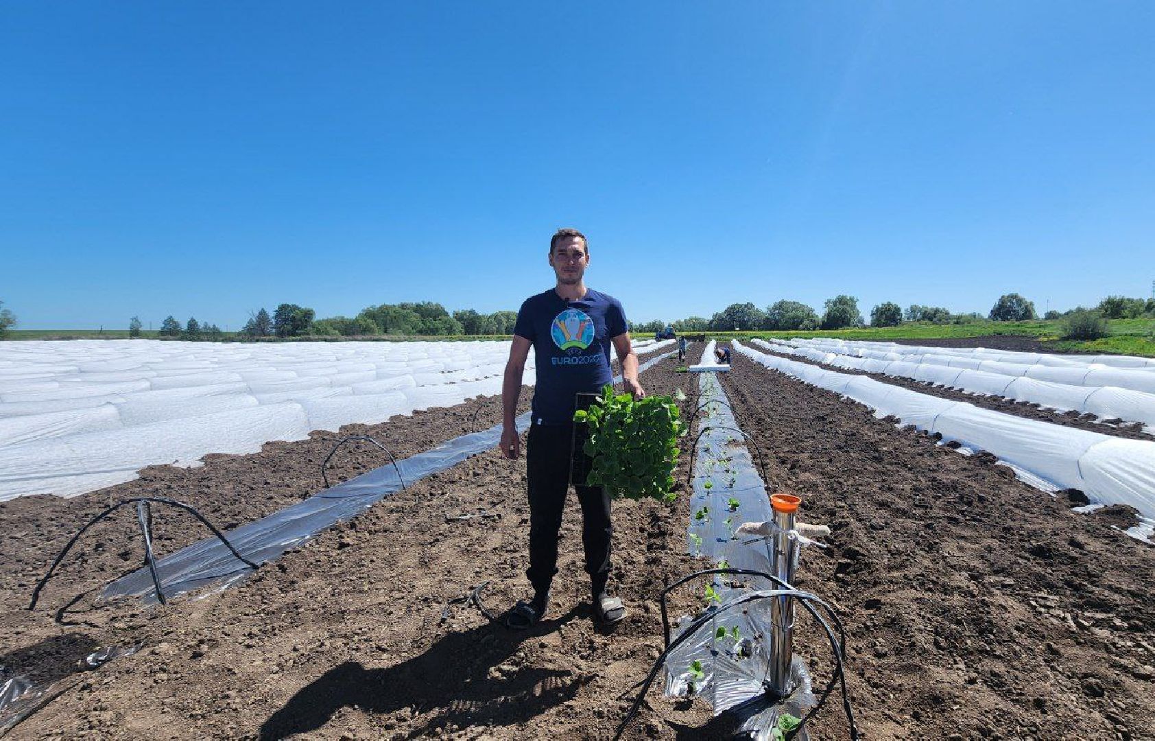 Агрогрант #Господдержка #РазвитиеСельскогоХозяйства , Луховицы,