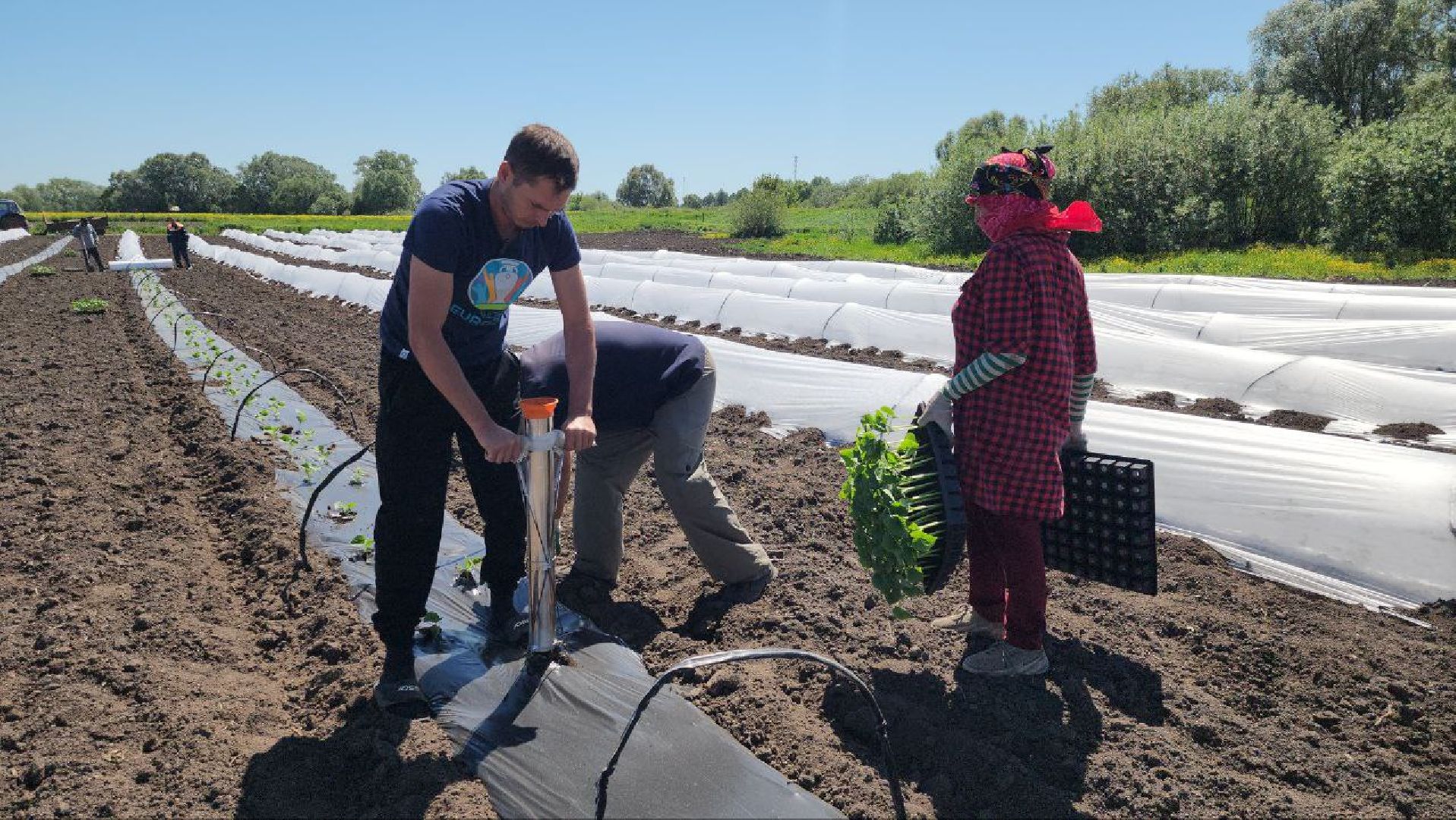 Агрогрант #Господдержка #РазвитиеСельскогоХозяйства , Луховицы,