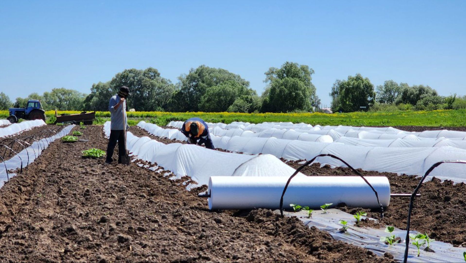 Агрогрант #Господдержка #РазвитиеСельскогоХозяйства , Луховицы,