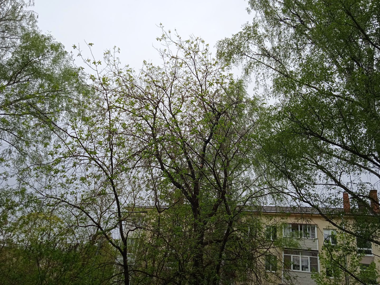 отопительный, сезон, возобновлён, похолодание, Жуковский