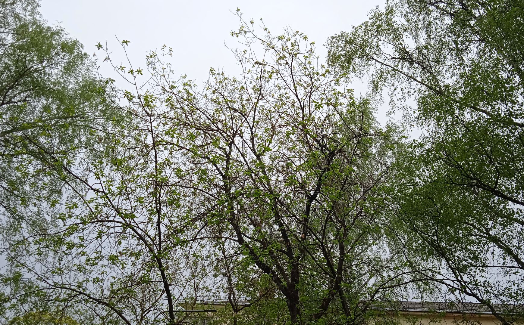 отопительный, сезон, возобновлён, похолодание, Жуковский