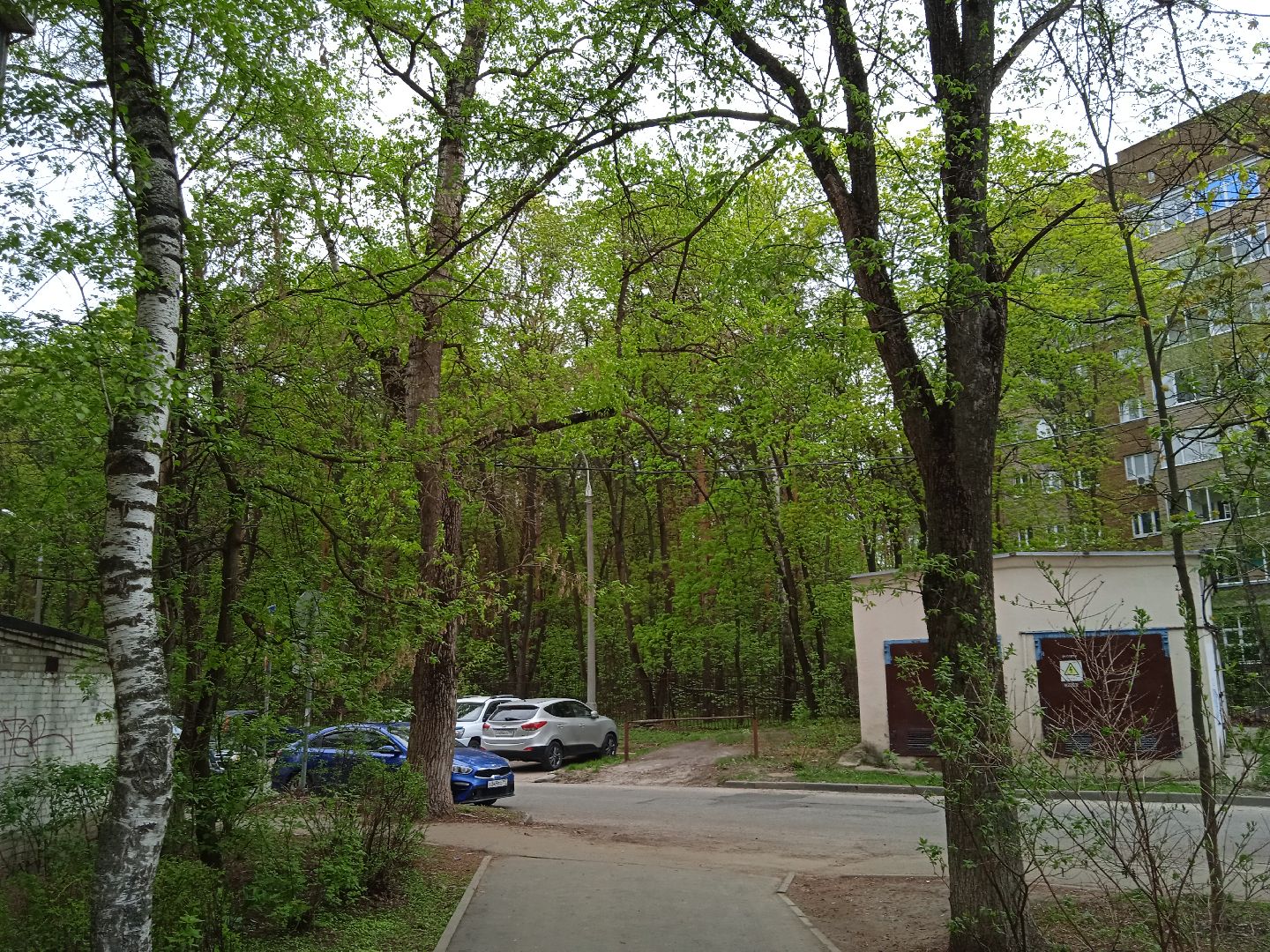 отопительный, сезон, возобновлён, похолодание, Жуковский