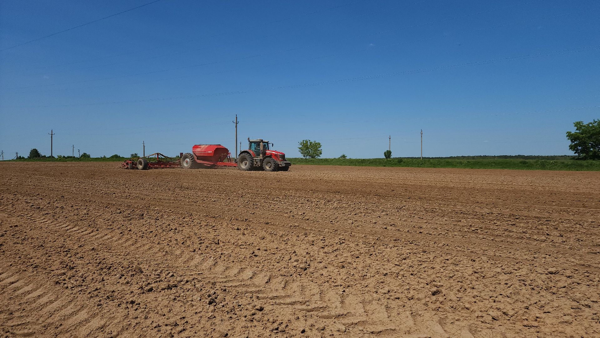 ступино, сельское хозяйство, животноводство,