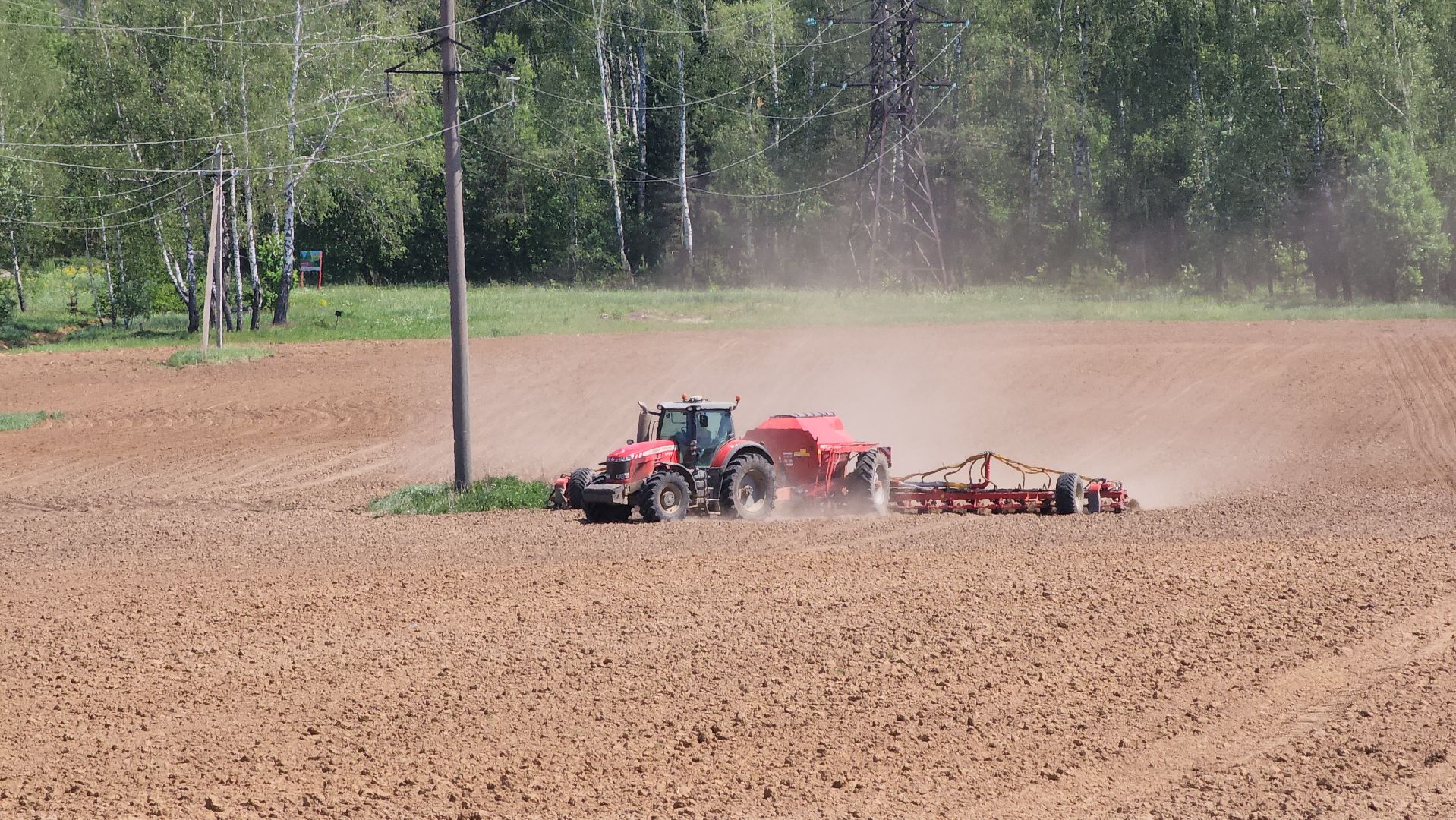 ступино, сельское хозяйство, животноводство,