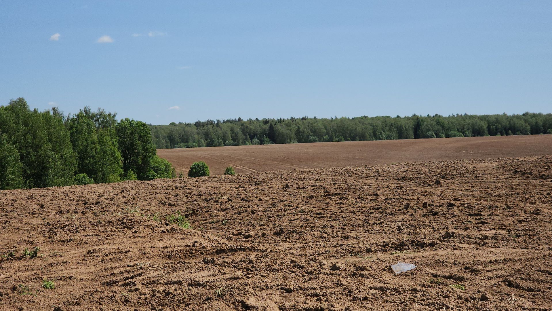 ступино, сельское хозяйство, животноводство,