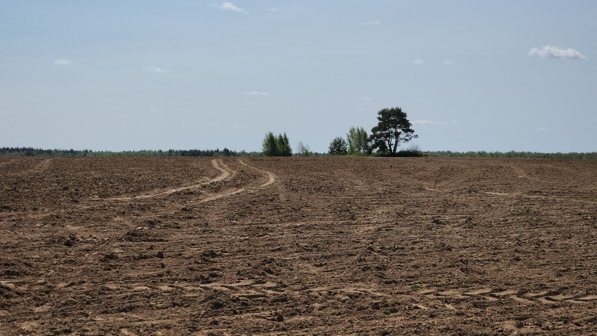 ступино, сельское хозяйство, животноводство,