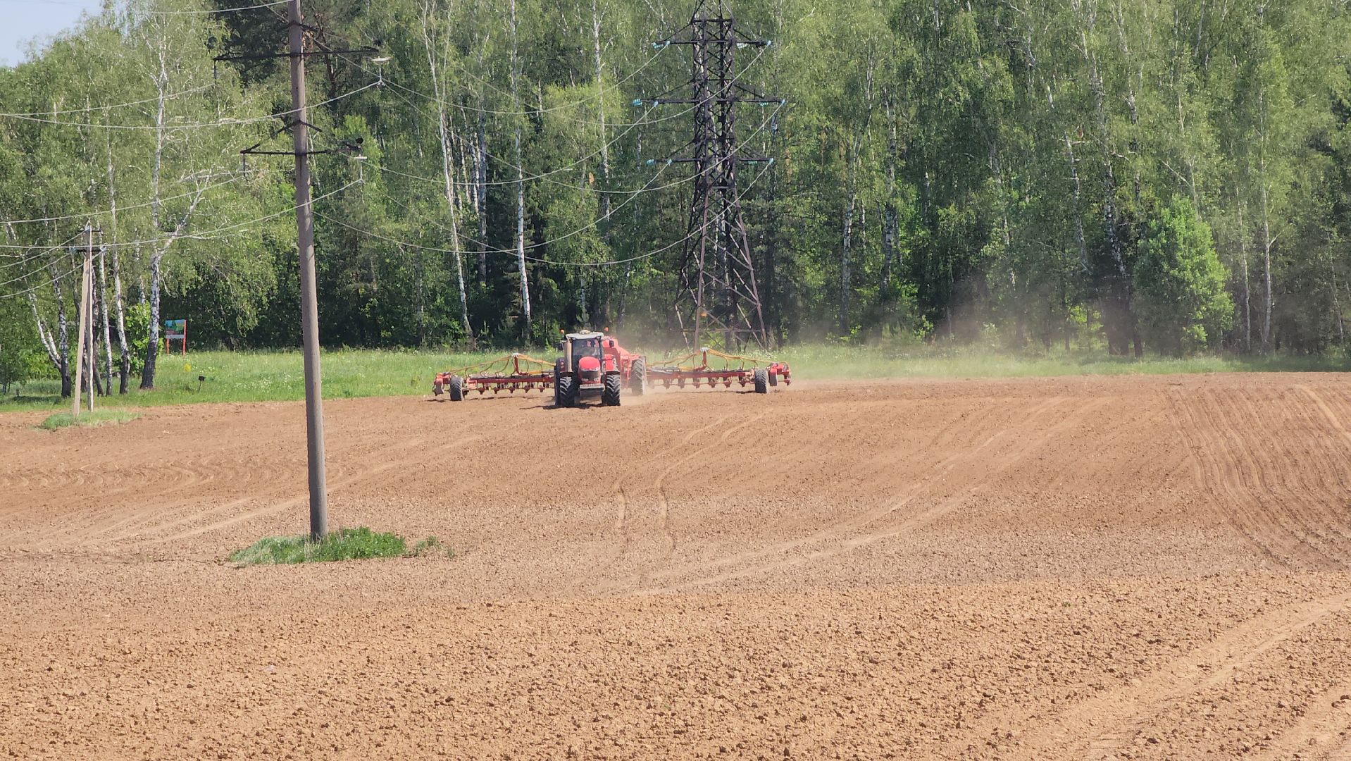 ступино, сельское хозяйство, животноводство,
