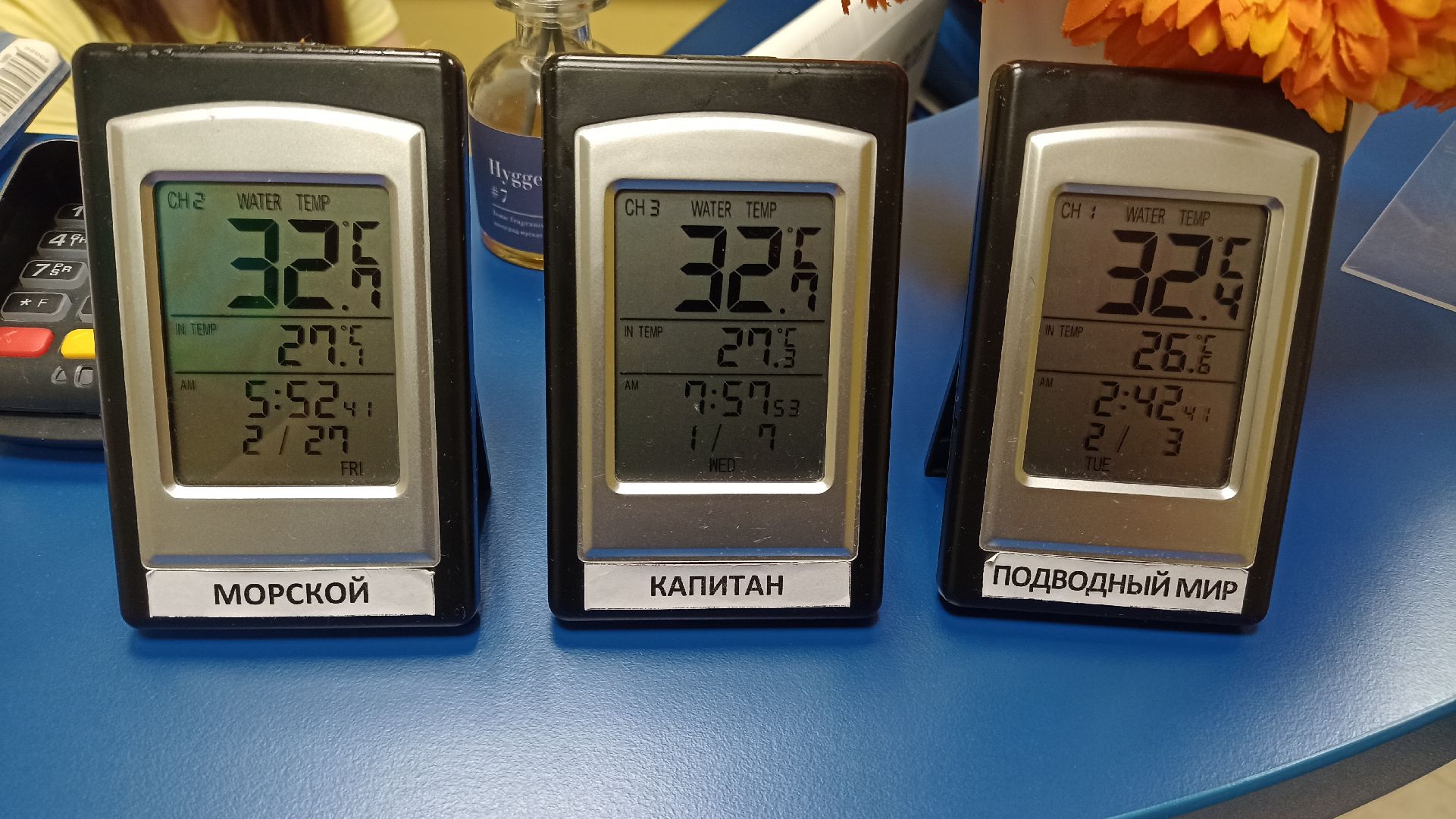 Реутов, плавание, груднички, бассейн