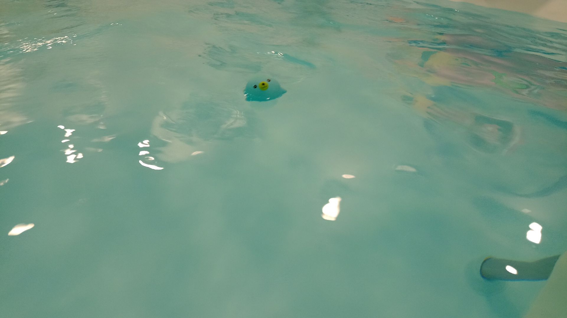 Реутов, плавание, груднички, бассейн