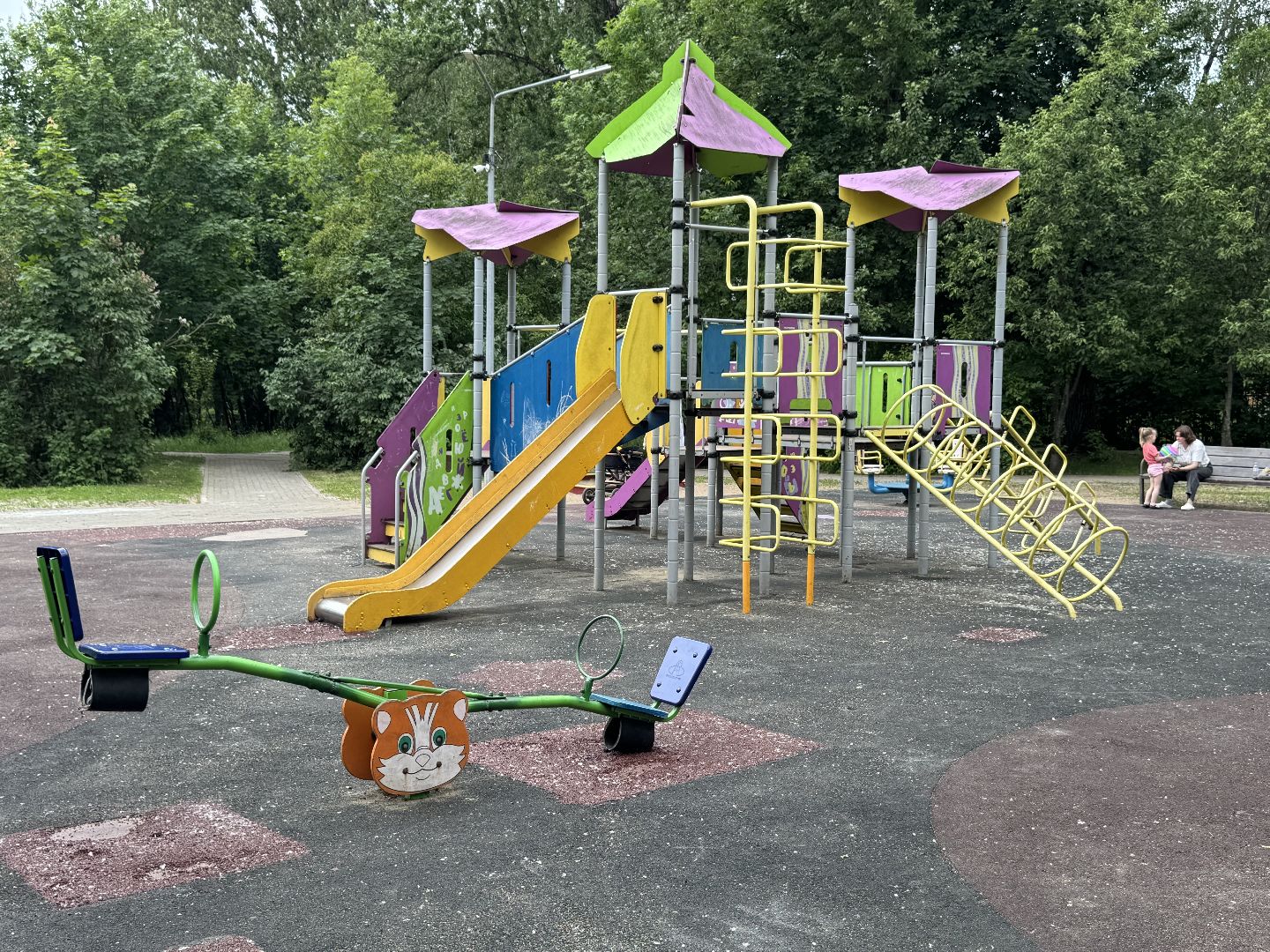 ДИП, балашиха, система безопасный регион,