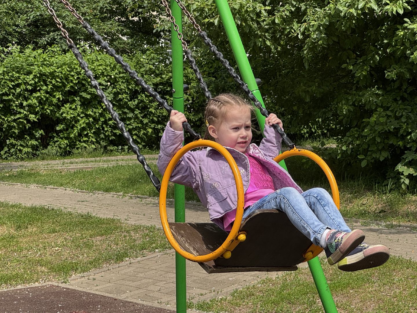 ДИП, балашиха, система безопасный регион,