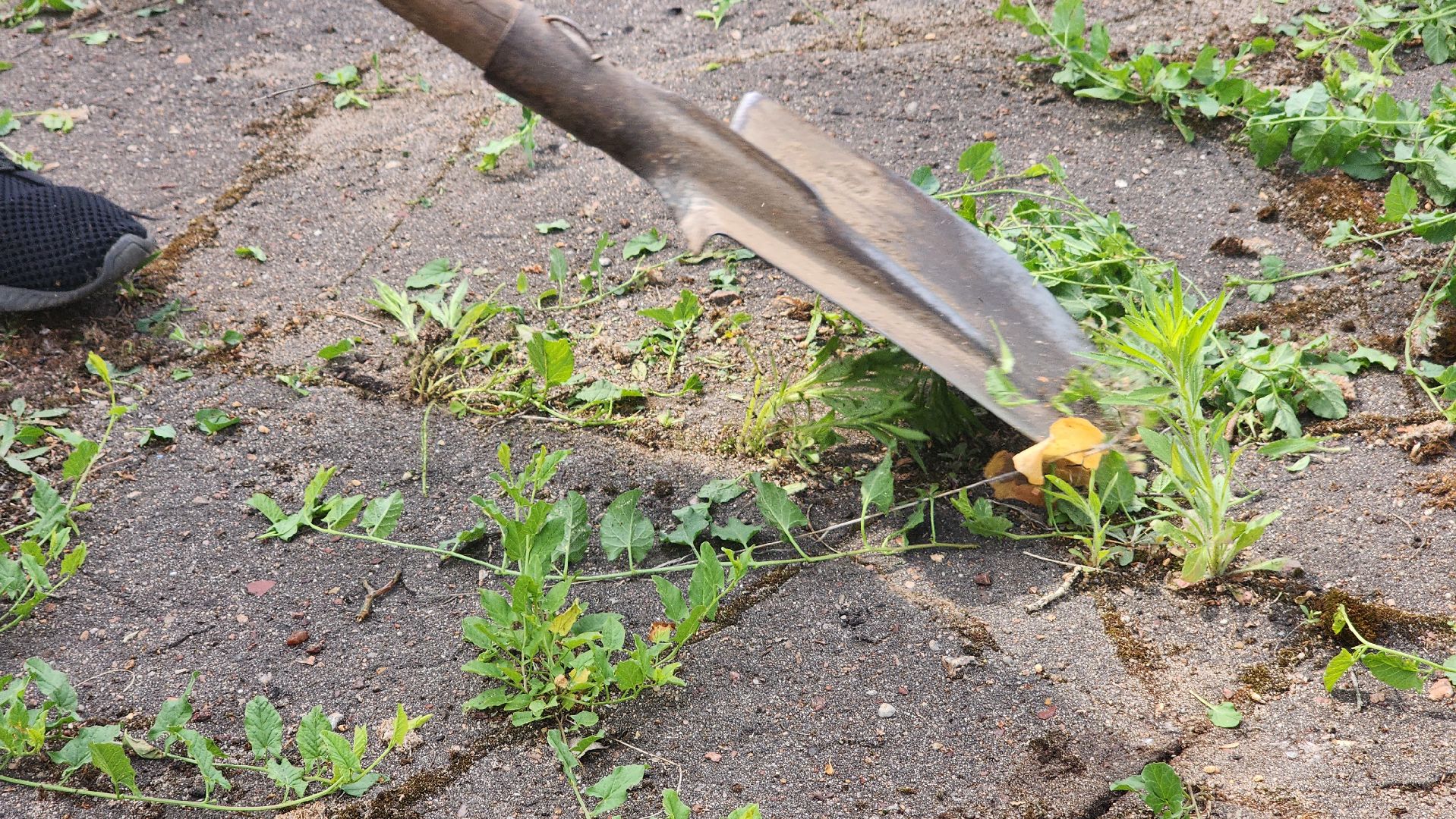 стадион протва, трудовые бригады, благоустройство,