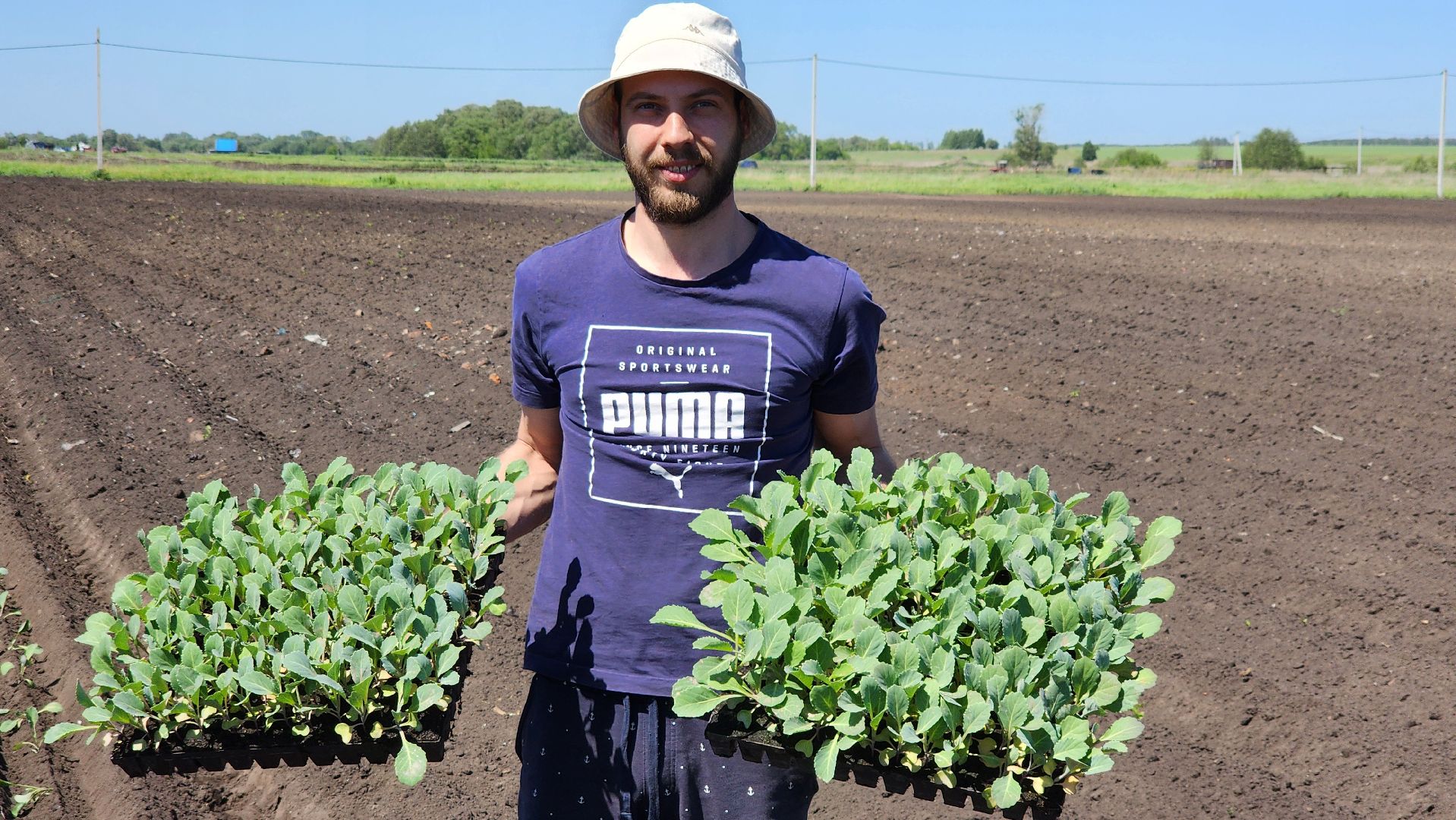 луховицы, сельское хозяйство, фермерское хозяйство,