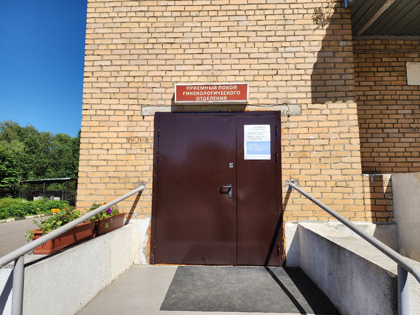 электросталь, медицина, общество, студенты, практика, врач, больница,