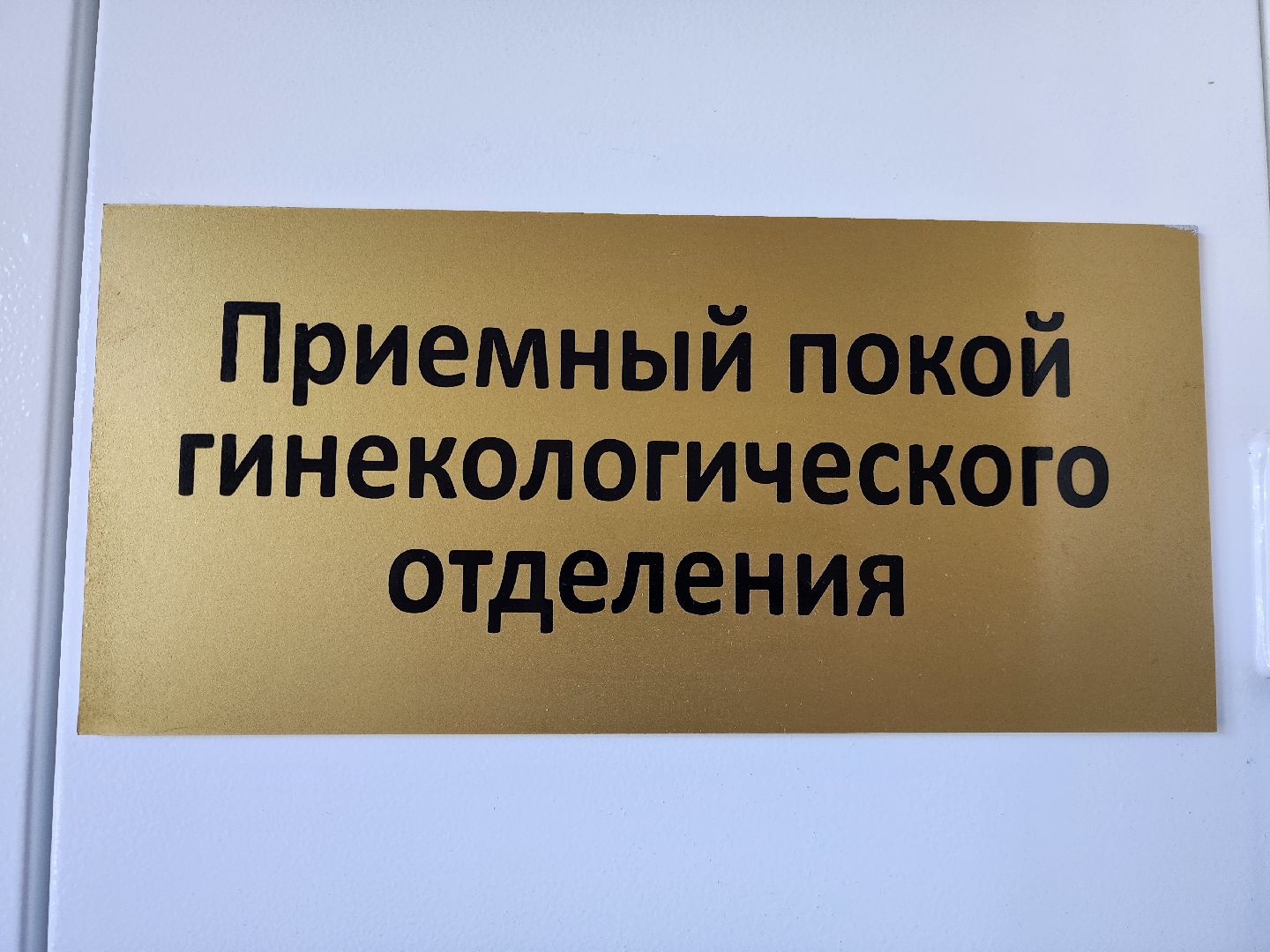 электросталь, медицина, общество, студенты, практика, врач, больница,