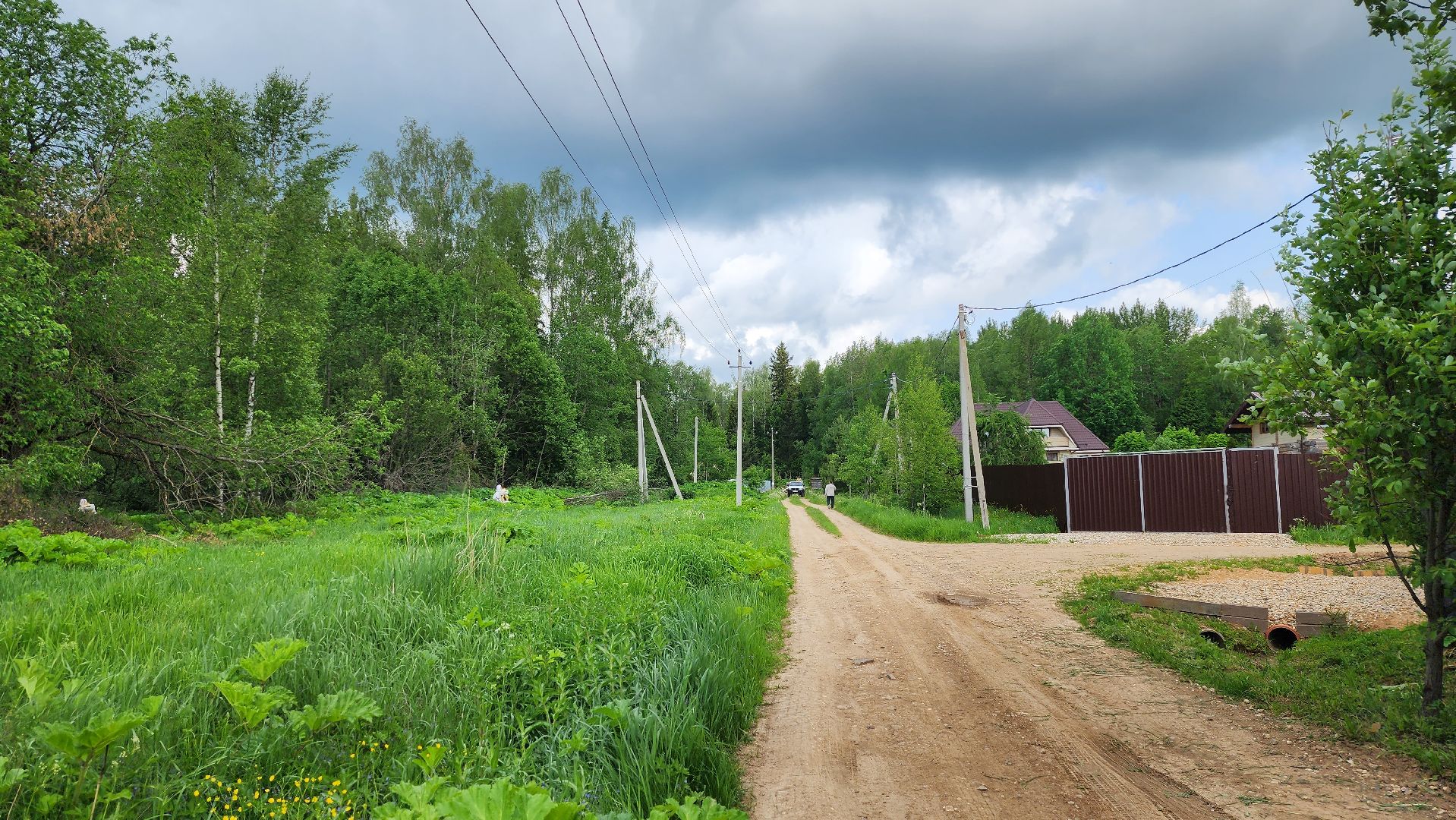 истра, экология, борщевик,