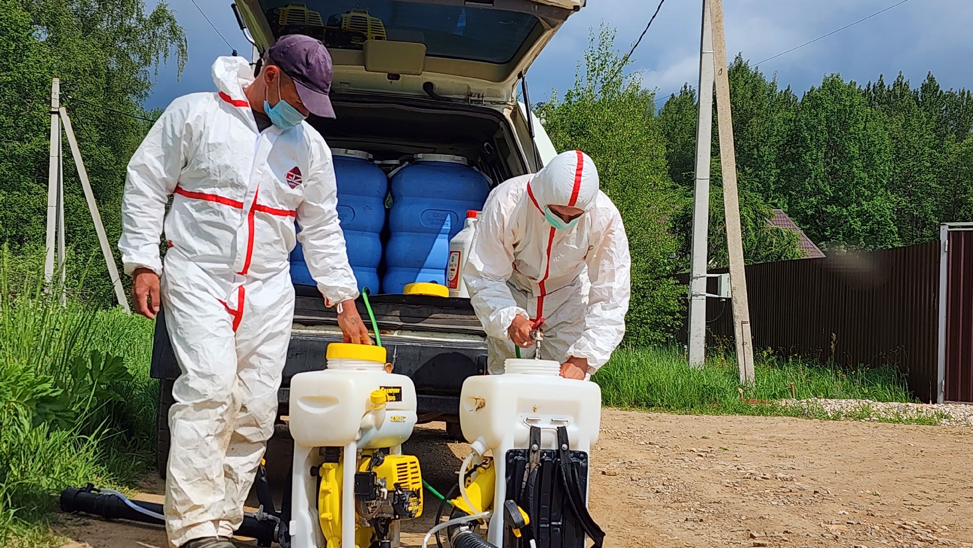 истра, экология, борщевик,