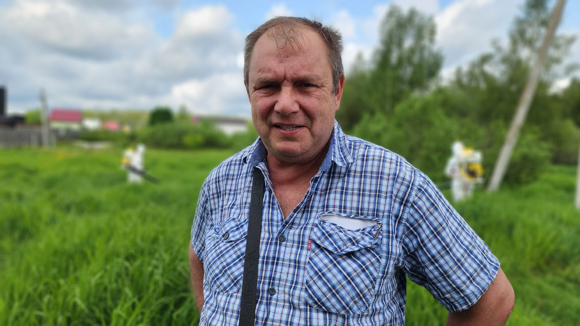 истра, экология, борщевик,