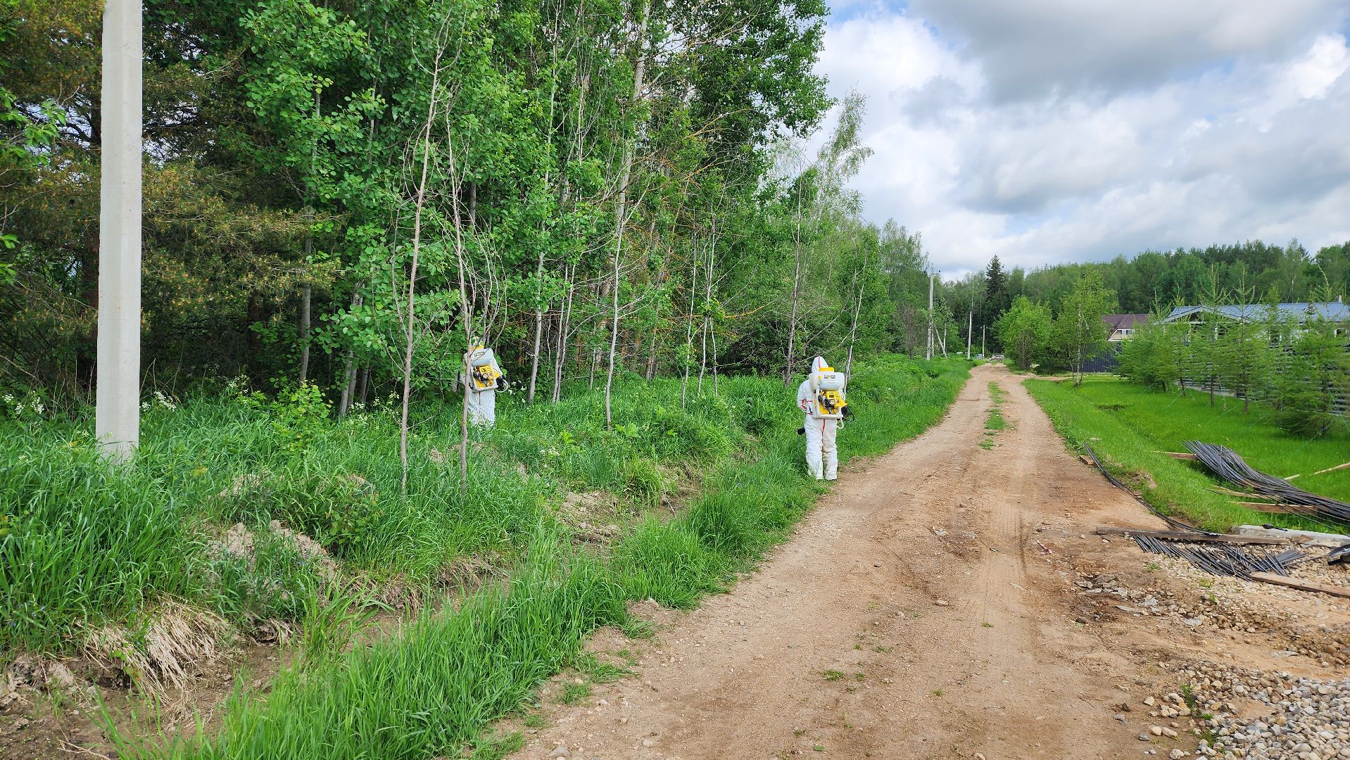 истра, экология, борщевик,