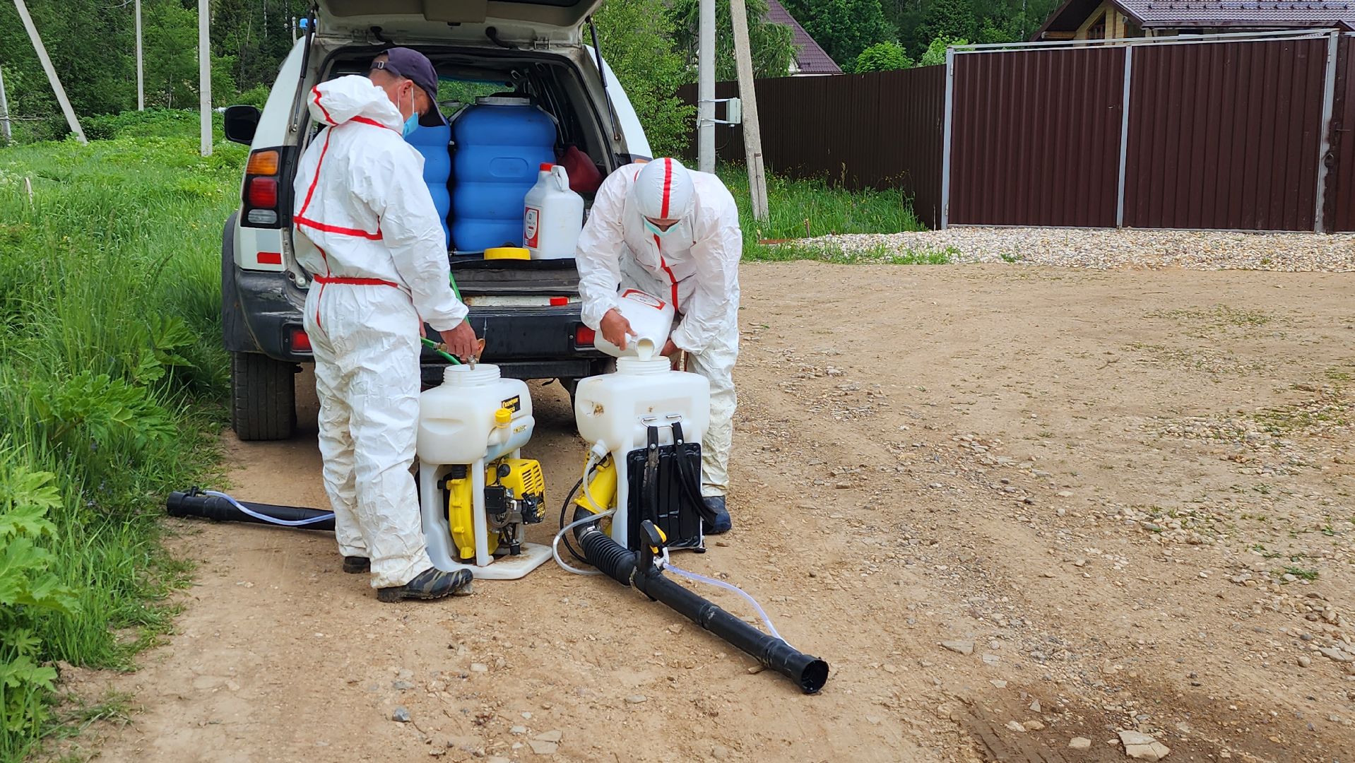 истра, экология, борщевик,