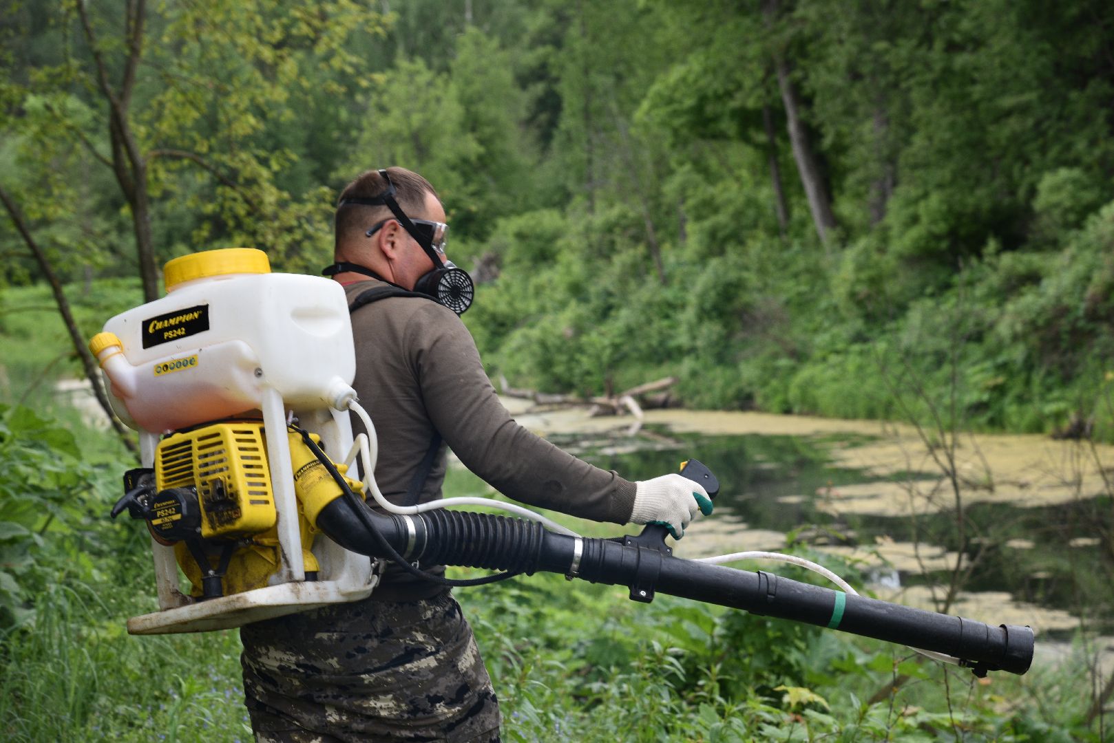 лотошино, кировский, борщевик сосновского, сельское хозяйство,