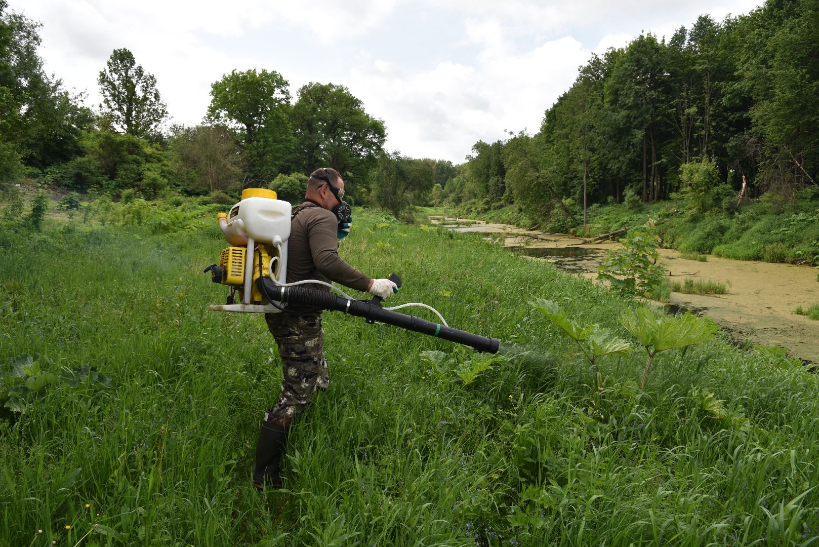 лотошино, кировский, борщевик сосновского, сельское хозяйство,