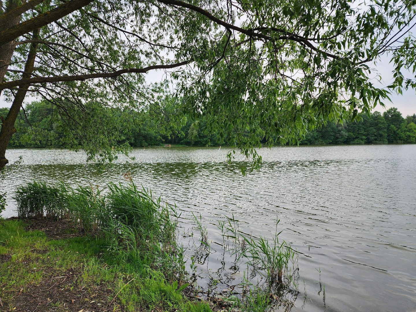 купальный сезон, пляжи, зоны отдыха, старая купавна, богородский городской округ,