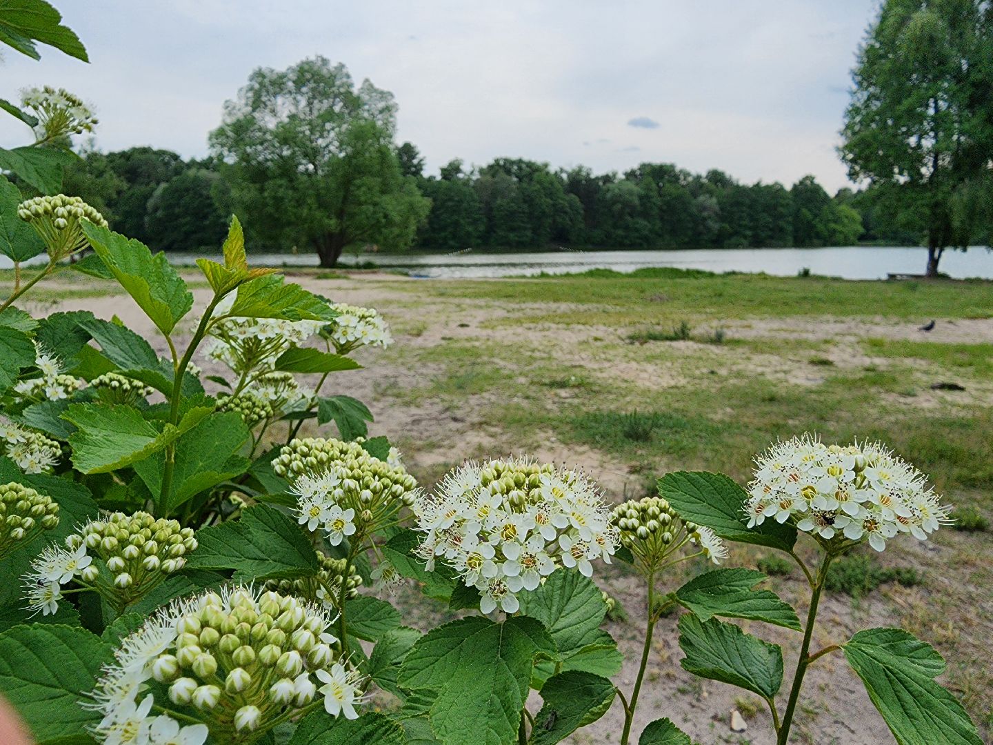 купальный сезон, пляжи, зоны отдыха, старая купавна, богородский городской округ,