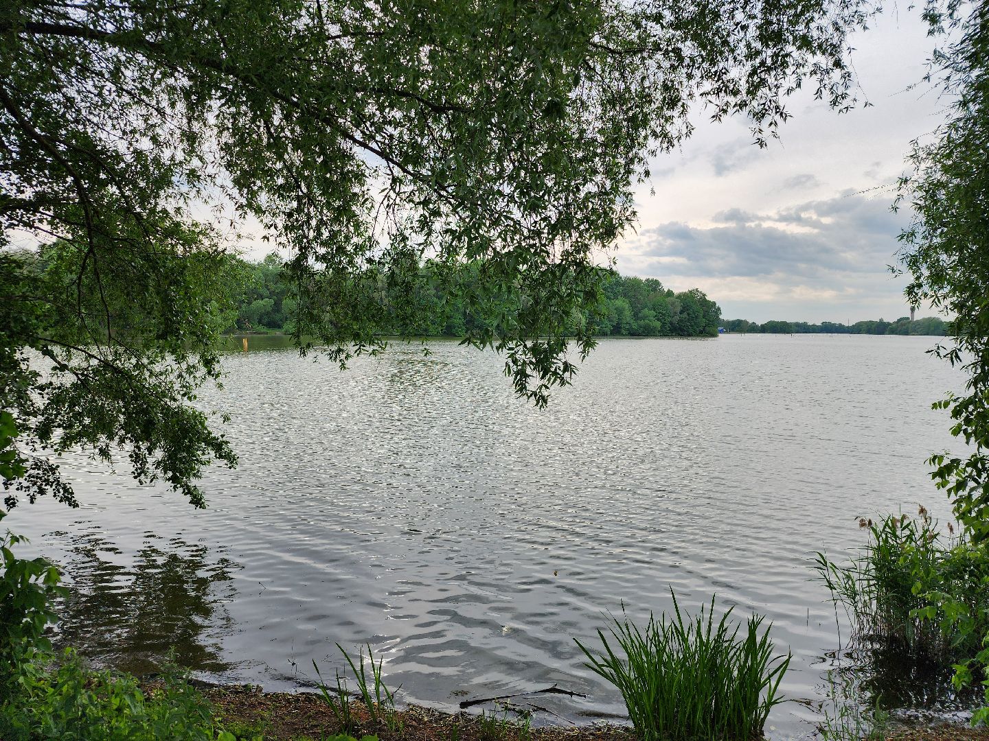 купальный сезон, пляжи, зоны отдыха, старая купавна, богородский городской округ,
