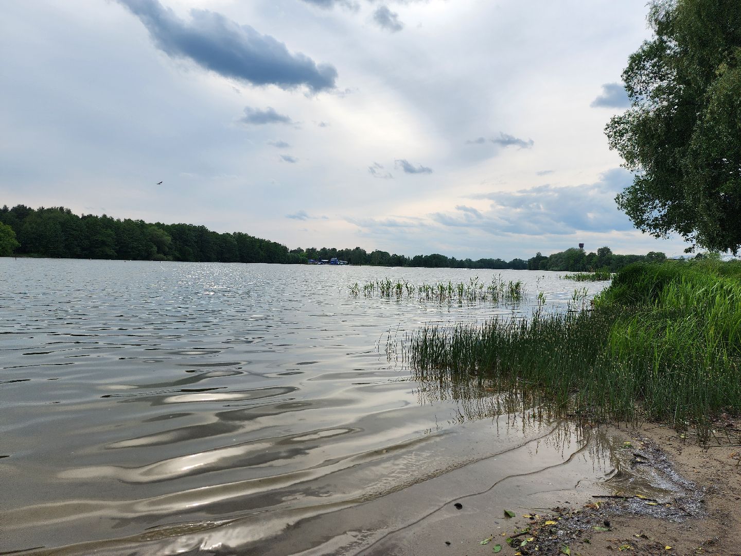 купальный сезон, пляжи, зоны отдыха, старая купавна, богородский городской округ,